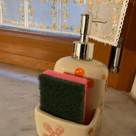 Artemisia Daire Pisa