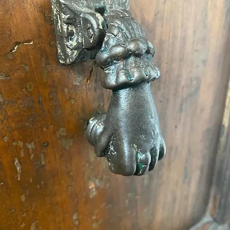 Artemisia Daire Pisa