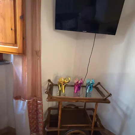 Artemisia Daire Pisa